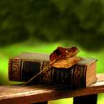 Листья, листва, трава Книга и осенний листок аватар