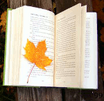 Листья, листва, трава Кленовый лист на книге аватар