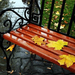 Листья, листва, трава Осенние листья на скамейке аватар
