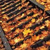 Листья, листва, трава Лестница засыпана осенними листьями аватар