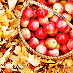 Листья, листва, трава Корзина яблок стоит на осенних листьях аватар