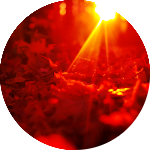 Листья, листва, трава Красные осенние листья в лучах солнца аватар