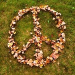 Листья, листва, трава Листьями выложен знак peace аватар