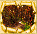 Листья, листва, трава Тропинка в лесу с падающими листьями в золотой рамке аватар