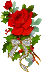 Листья, листва, трава Красная роза с листиками , обвязана ленточкой аватар