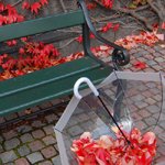 Листья, листва, трава Красные осенние листья вокруг зеленой скамейки, и в зонте аватар