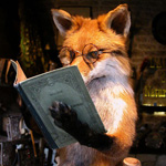 Лисы и волки Умная лиса с книгой аватар
