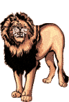 Львы, тигры, пантеры Оскал льва аватар