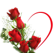 Любовь, люблю, целую Красные Розы аватар