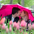 Любовь, люблю, целую Розовый поцелуй аватар