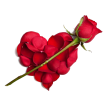 Любовь, люблю, целую Красная Роза аватар