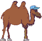 История и повседневность Верблюд в кепочке аватар