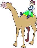 История и повседневность Турист на верблюде аватар