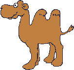 История и повседневность Верблюд симпатичный аватар