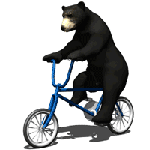 Машины, техника Медведь на велосипеде аватар