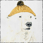 Медведи Белый медведь в зимней шапке аватар