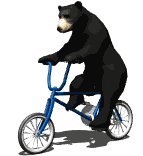 Медведи Мишка велосипедист аватар