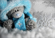 Медведи Мишка с голубым шарфом аватар