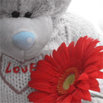 Медведи Мишка с красным цветком аватар