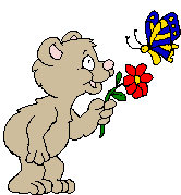 Медведи Мишка с бабочкой аватар