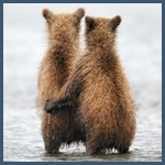 Медведи Два медведя в обнимку стоят на берегу озера аватар