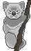 Медведи Мишка коало аватар