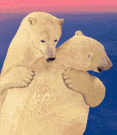 Медведи В обнимку аватар