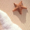 Море Морская звезда на берегу моря аватар