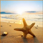 Море Морская звезда на берегу аватар