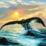 Море Хвост кита над морем аватар