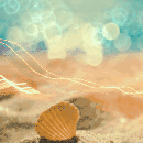 Море Ракушка лежит на песке аватар