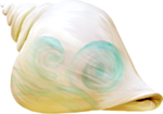 Море Раковинка с изображением веточки на ней аватар