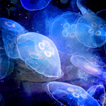 Море Светящиеся голубые медузы под водой аватар