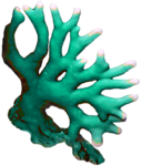 Море Зеленые кораллы аватар