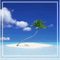 Море Искривленная пальма аватар