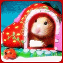 Мышки, хомяки Хомяк в игрушечном домике аватар
