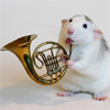 Мышки, хомяки Хомяк играет на трубе аватар