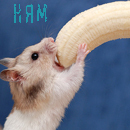 Мышки, хомяки Банан и хомяк, ням аватар
