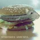 Мышки, хомяки Мышь в гамбургере (приятного аппетита.) аватар