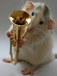 Мышки, хомяки Крыса трубач аватар