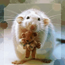 Мышки, хомяки Крысёнок с игрушечным мишкой аватар