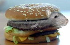 Мышки, хомяки Крысбургер аватар