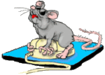 Мышки, хомяки Мышка пытается понять компьютерную мышку аватар