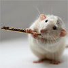 Мышки, хомяки Хома-флейтист аватар