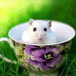 Мышки, хомяки Белая мышь сидит на траве в чашке с цветочным узором аватар