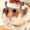 Мышки, хомяки Хомяк что-то ест, в красной шапке аватар