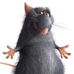 Мышки, хомяки Удивленная крыса аватар