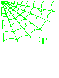 Насекомые, жучки, паучки Зеленая паутина аватар