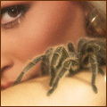 Насекомые, жучки, паучки Девушка  с пауком на плече аватар