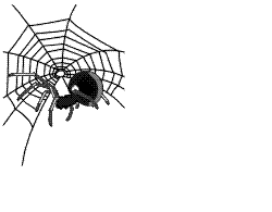 Насекомые, жучки, паучки Паук плетет свою паутинку аватар